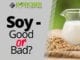 Soy - Good or Bad