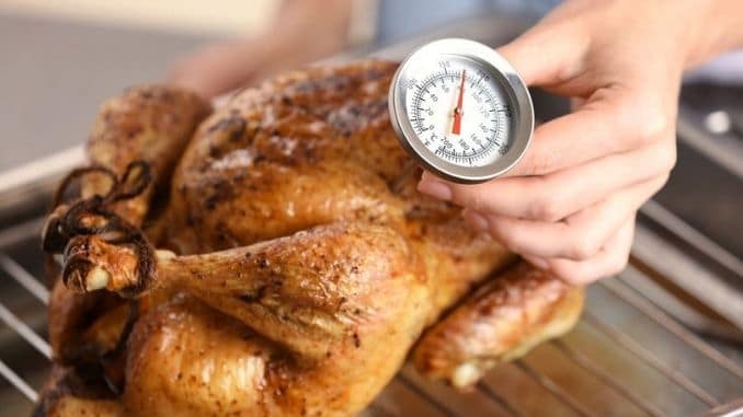 measuring-chicken-temperature