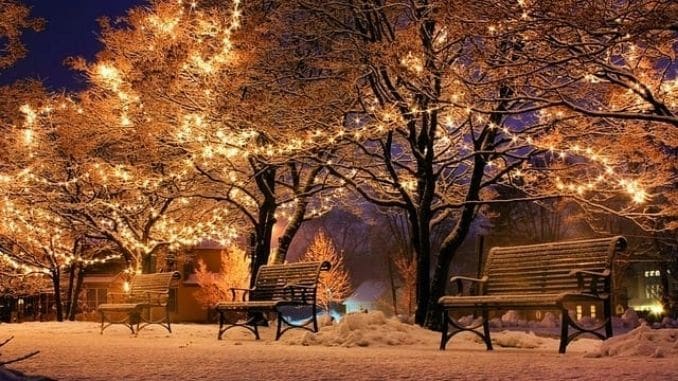 park-christmas-lights