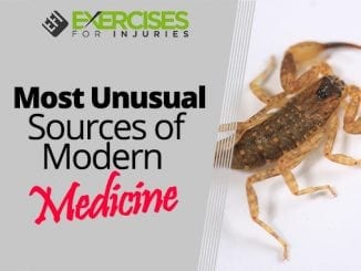 Most Unusual Sources of Modern Medicine
