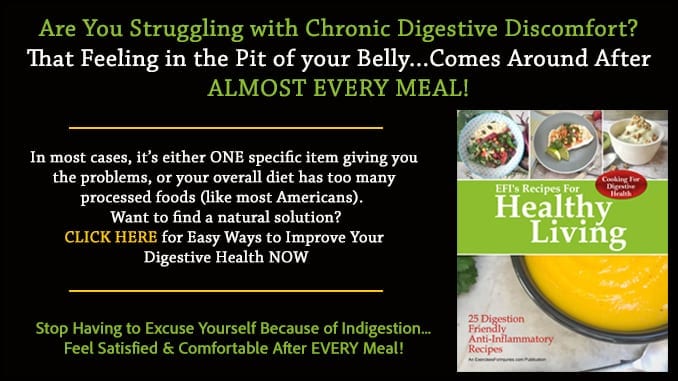 Promotional Blog Graphic for Digestive Health Cookbook