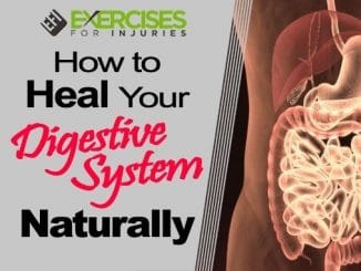 How-to-Heal-Your-Digestive-System-Naturally