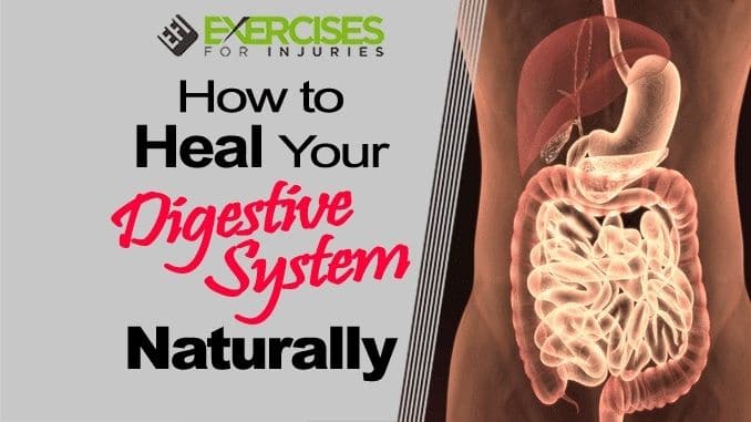 How-to-Heal-Your-Digestive-System-Naturally