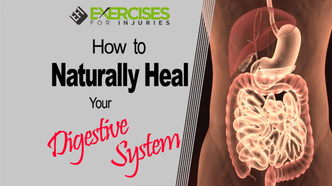 How to Naturally Heal Your Digestive System copy