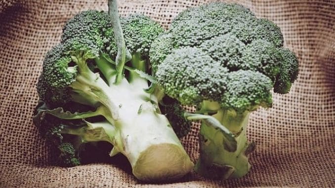 broccoli-for-adrenal-fatigue