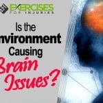 Is The Environment Causing Brain Issues?