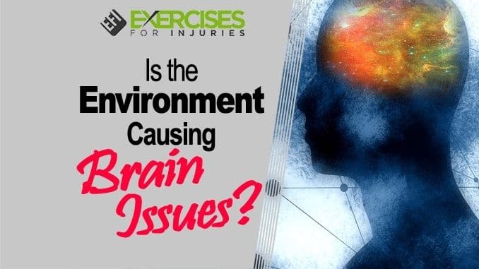 Is-The-Environment-Causing-Brain-Issues