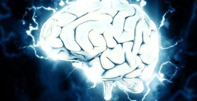 brain - Ways to Improve Brain Function