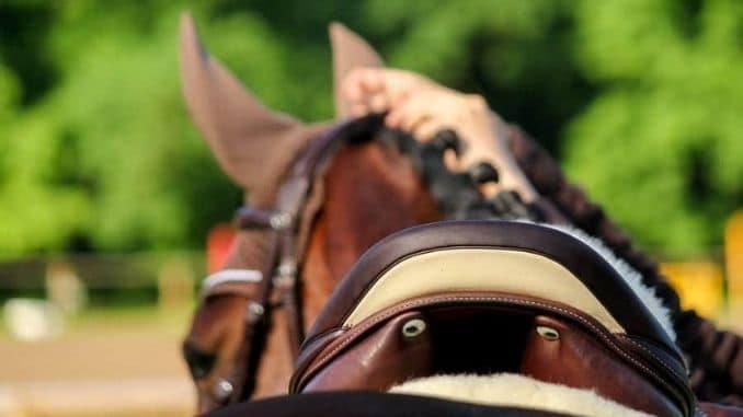 Close-Up-Horse-Saddle