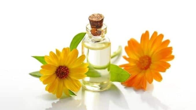 sunflower-essential-oil