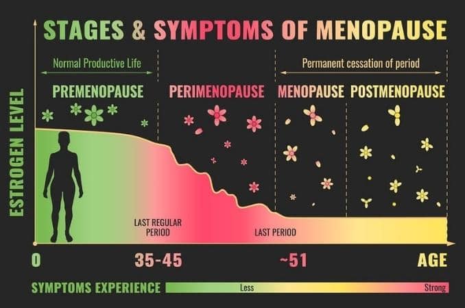 stages and symptoms of menopause