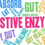 Digestive Enzymes 101