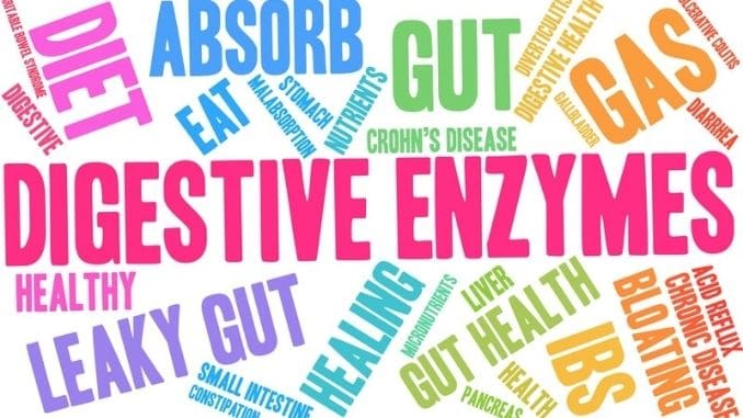 Digestive-Enzymes-101