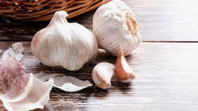 Garlic-cloves - Side Effects of Antibiotics