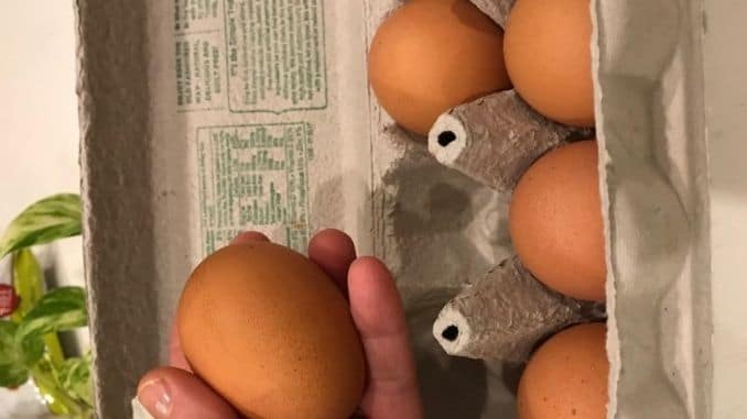 chicken-egg - A Complete Guide to Buying Eggs