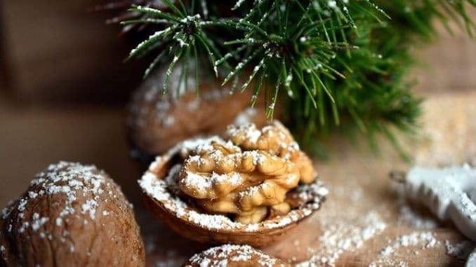 walnut-nut-christmas