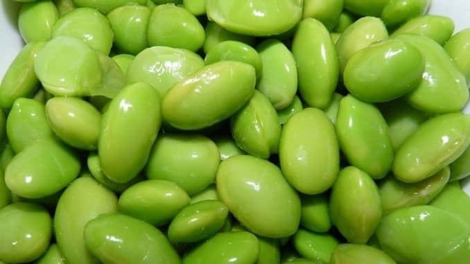 beans-soy-food-vegetable-