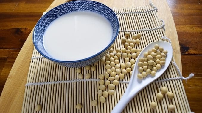 soy-soybean-soy-milk