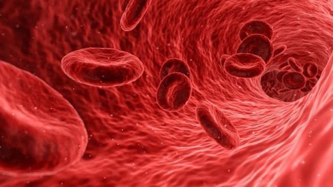 blood-cells-red-medical