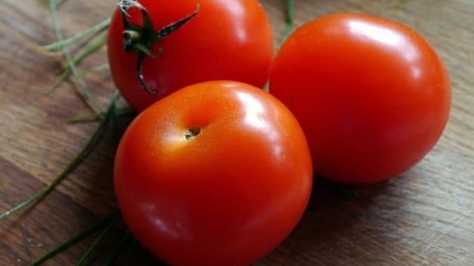 tomato-vegetable-food-fresh