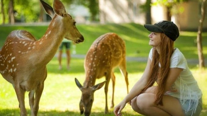 woman-near-brown-deer