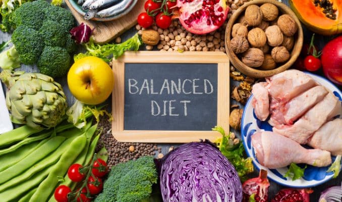 Balanced Nutrient - what is a omnivore diet