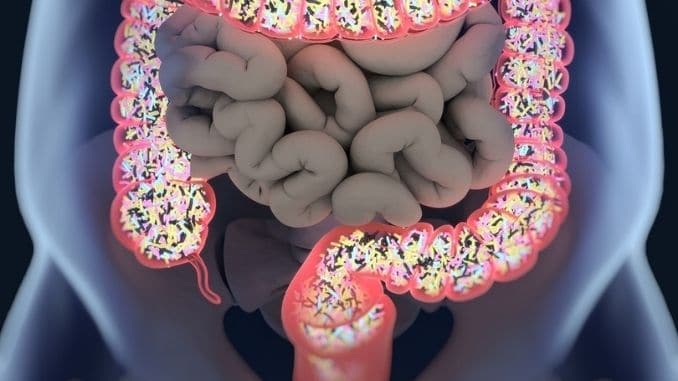 Gut-Bacteria-Microbiome