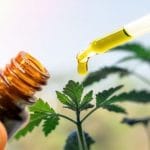 What You Need to Know About THC and CBD