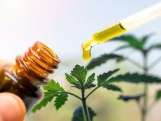 What You Need to Know About THC and CBD