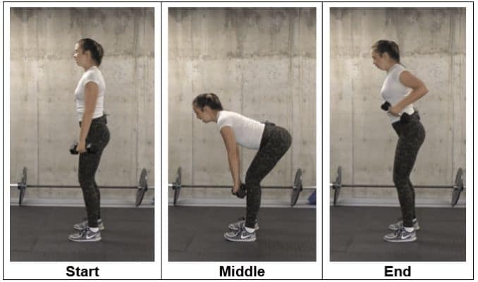 Deadlift-to-a-Row - Tone and Sculpt Your Body
