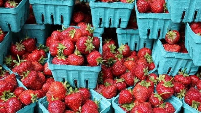 strawberries-berries-fresh