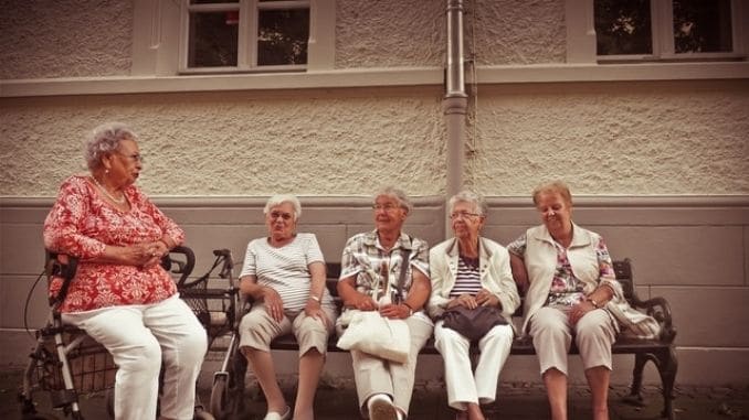 adult-age-elderly-enjoyment