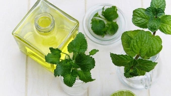 leaf-mint-herb - Alternative Health Options to Ease Pain and Anxiety
