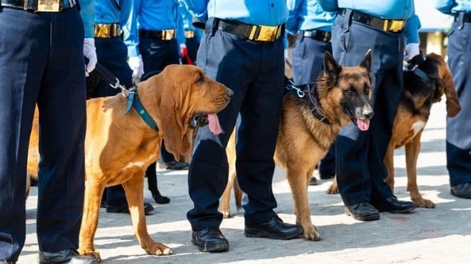 Nepal-Police-dog