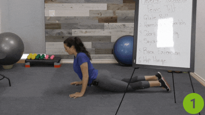Cobra / Upward Dog- posterior pelvic tilt exercise