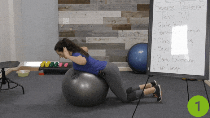 Back Extension on Stability Ball- posterior pelvic tilt exercise