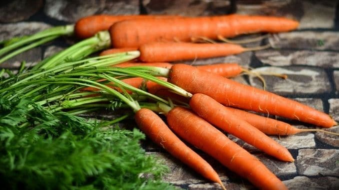 carrots-vegetables