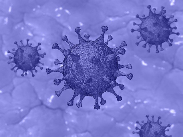covid-19-virus-coronavirus-pandemic