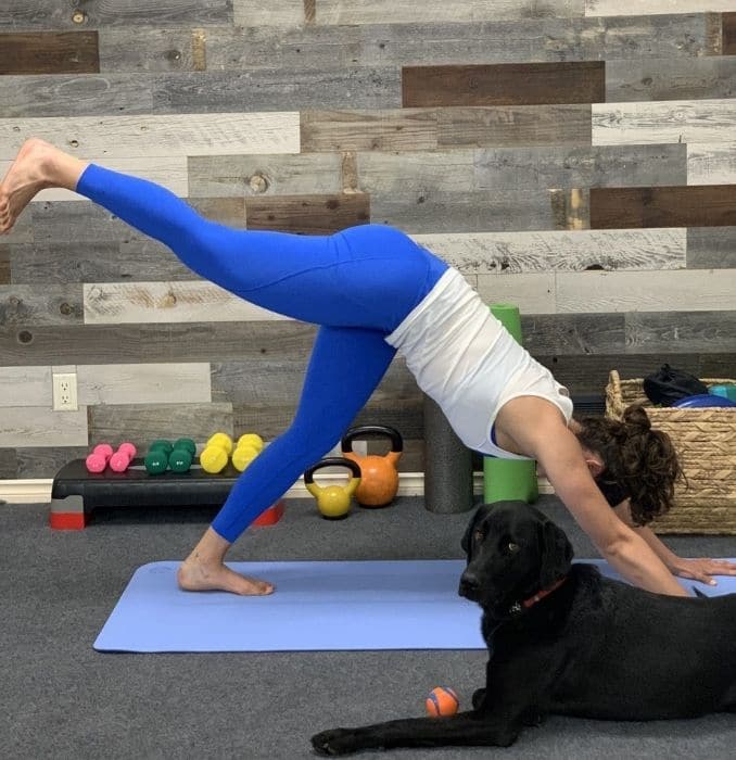 Downward-facing Dog With Crunches 1