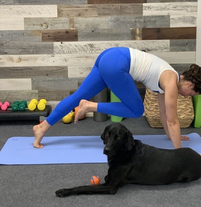 Downward-facing Dog With Crunches 2