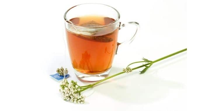Herbal Tea with Valerian