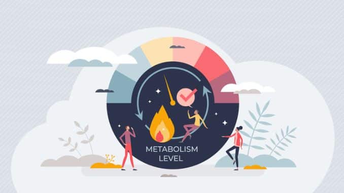 Does Intermittent Fasting Slow Down Metabolism?