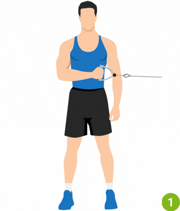 Shoulder External Rotation (Resistance Band)