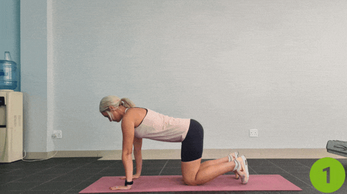 Bird dog- posterior core exercises
