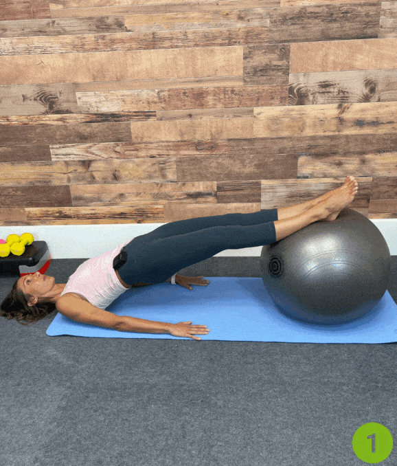 Stability Ball Hamstring Rollouts