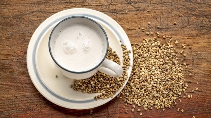 hemp-milk-seeds-cup