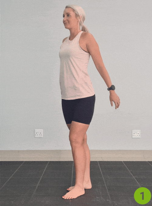 Arm Raises - Stroke Rehabilitation Exercises