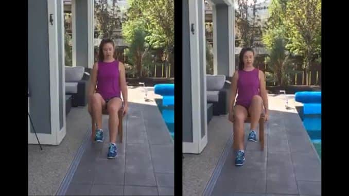 Seated Knee Exercises