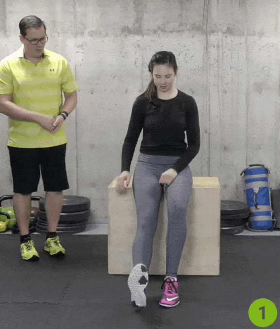 Seated Leg Lifts
