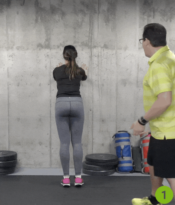 Wall Plank with Reach - Exercises for Osteoarthritis